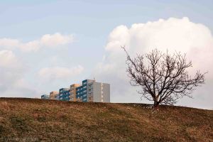 5D20130315-red line-88