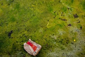 5D20130503-workshop-12