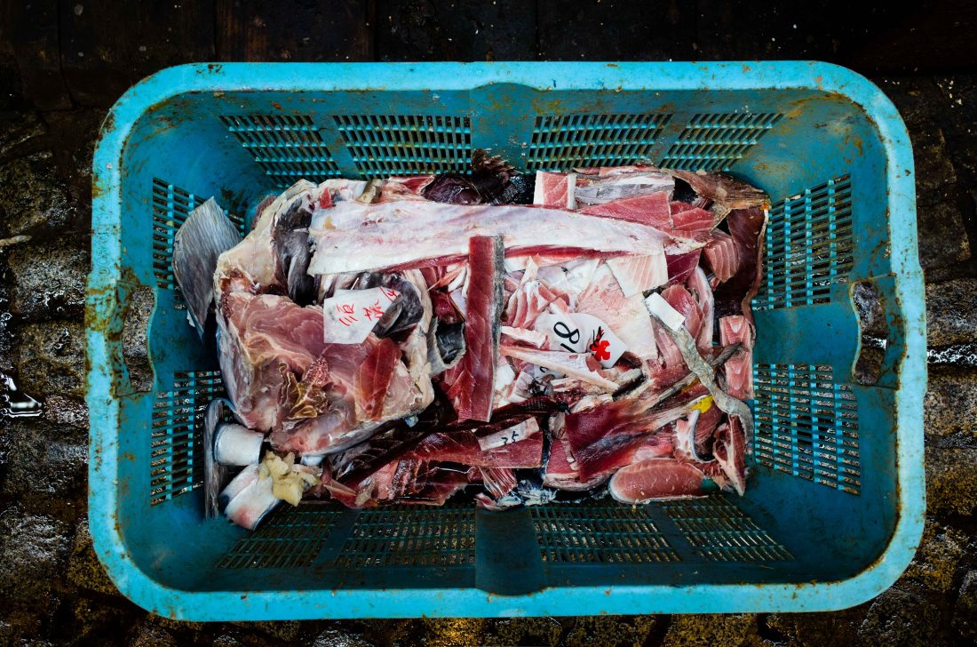 GR20170701-tokyo-174