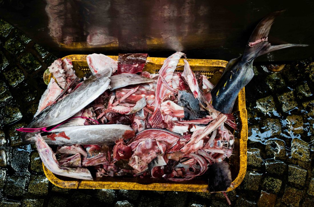 GR20170703-tokyo-232