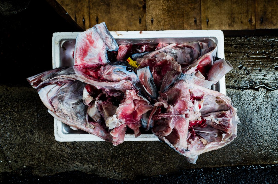 GR20170703-tokyo-264